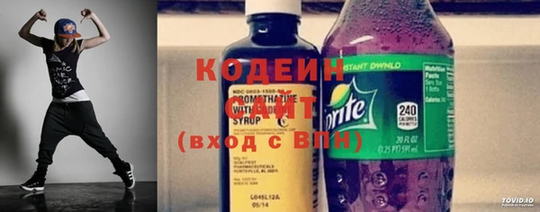 шишки Бородино