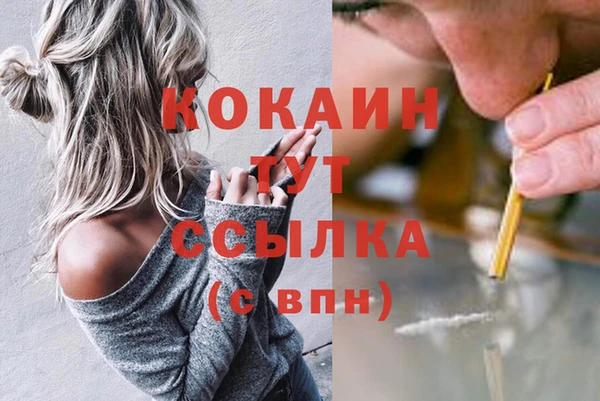 шишки Бородино
