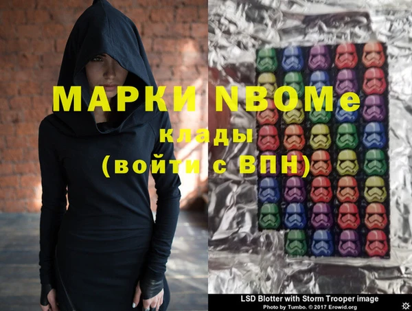 шишки Бородино