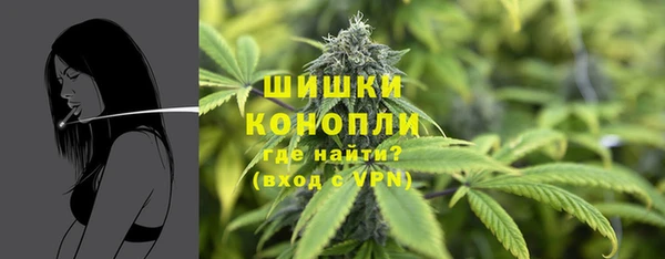 шишки Бородино