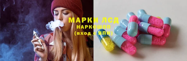 шишки Бородино