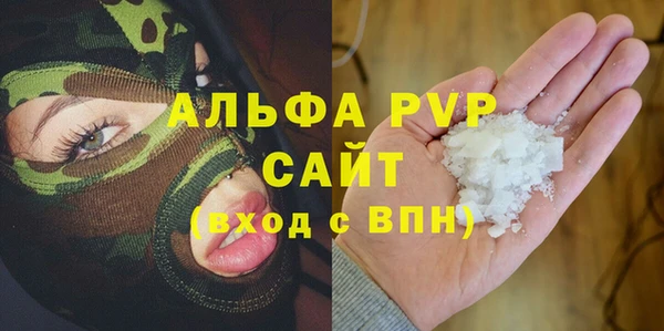 шишки Бородино