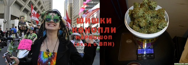 мдпв Волоколамск